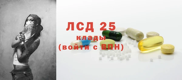 гидра Наволоки