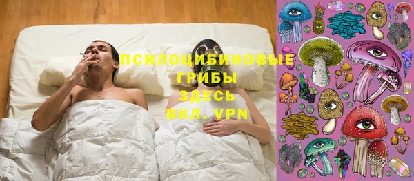 прущая мука Михайлов