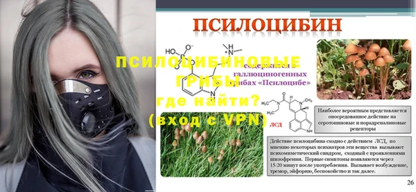 MDMA Premium VHQ Михайловка