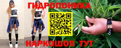 спиды Бийск