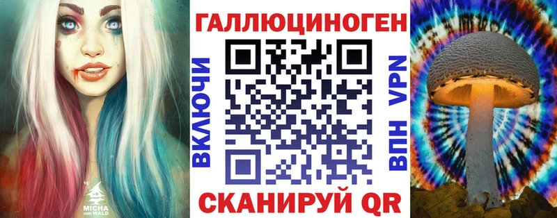 MEGA ССЫЛКА  Электрогорск  Псилоцибиновые грибы Psilocybine cubensis 