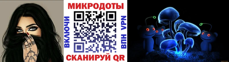 Псилоцибиновые грибы Psilocybine cubensis Электрогорск