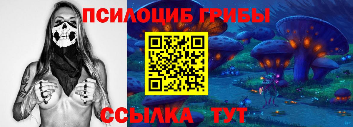как найти наркотики  Галлюциногенные грибы мухоморы  Вход с VPN  Электрогорск 