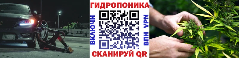 закладка  Электрогорск  Бошки марихуана Ganja 